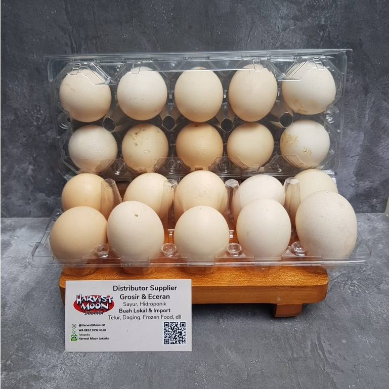 

HarvestMoon Telur Ayam Kampung Per Tray