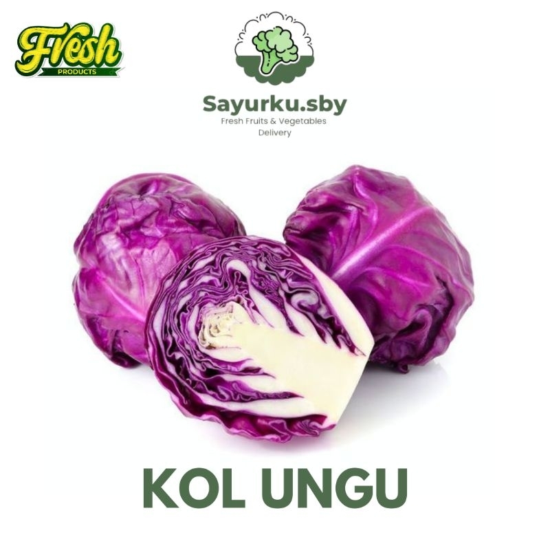 

Sayurku.sby (Bisa kirim instan) Kol Ungu/ Kol merah/ Kubis ungu/ Kubis merah PREMIUM FRESSH