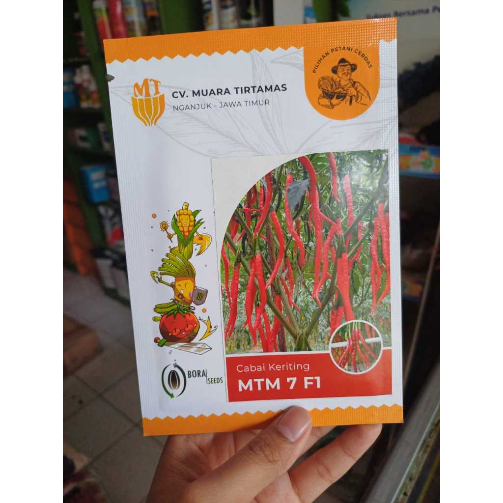 BENIH CABAI BIBIT CABE KERITING MTM 7 F1 ISI 10 gram