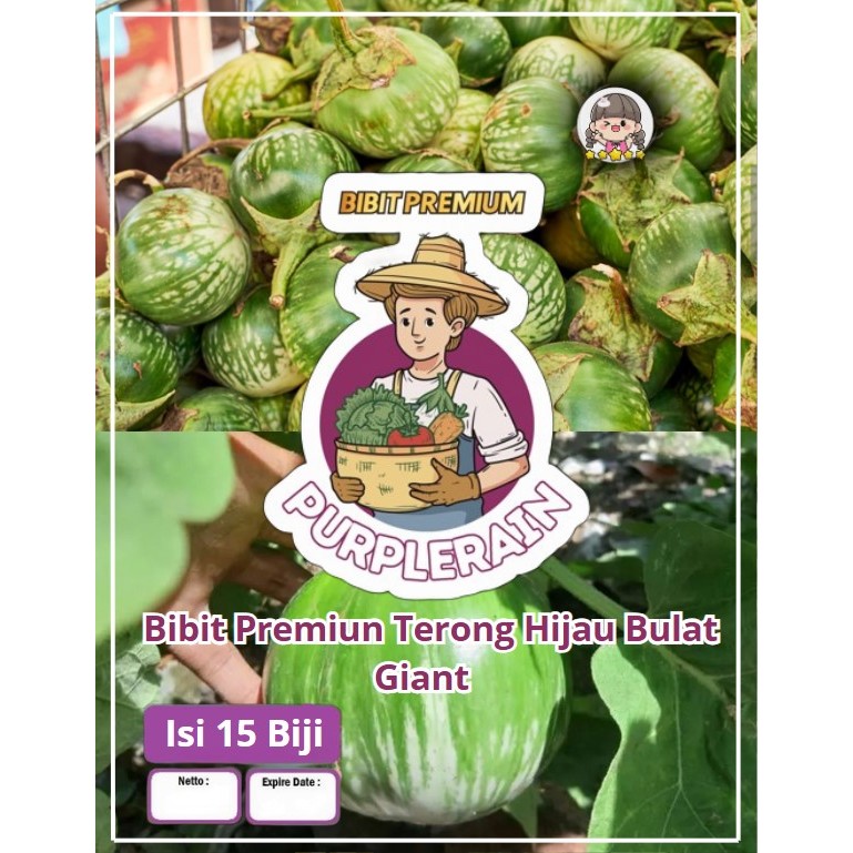 Bibit Premium Terong Hijau Bulat Giant | Biji Benih Terong Jumbo Bulat