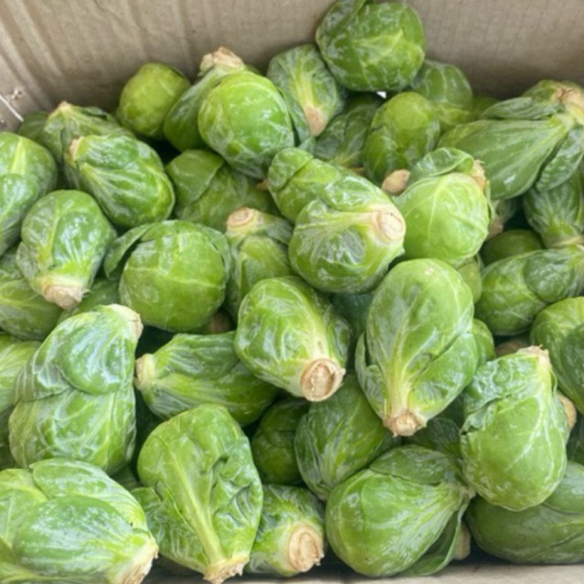

Brussels sprouts Australian import | Kubis mini Kol Australian -+300 grm