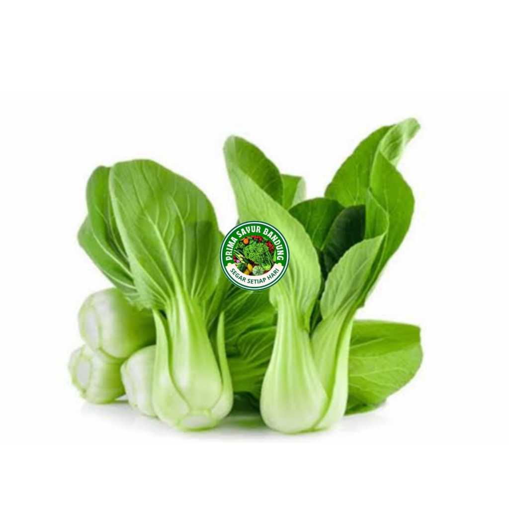 

PRIMA - Sayur Pakcoy Segar Bok Choy 500gr Pak Choi Sayur Fresh Bandung