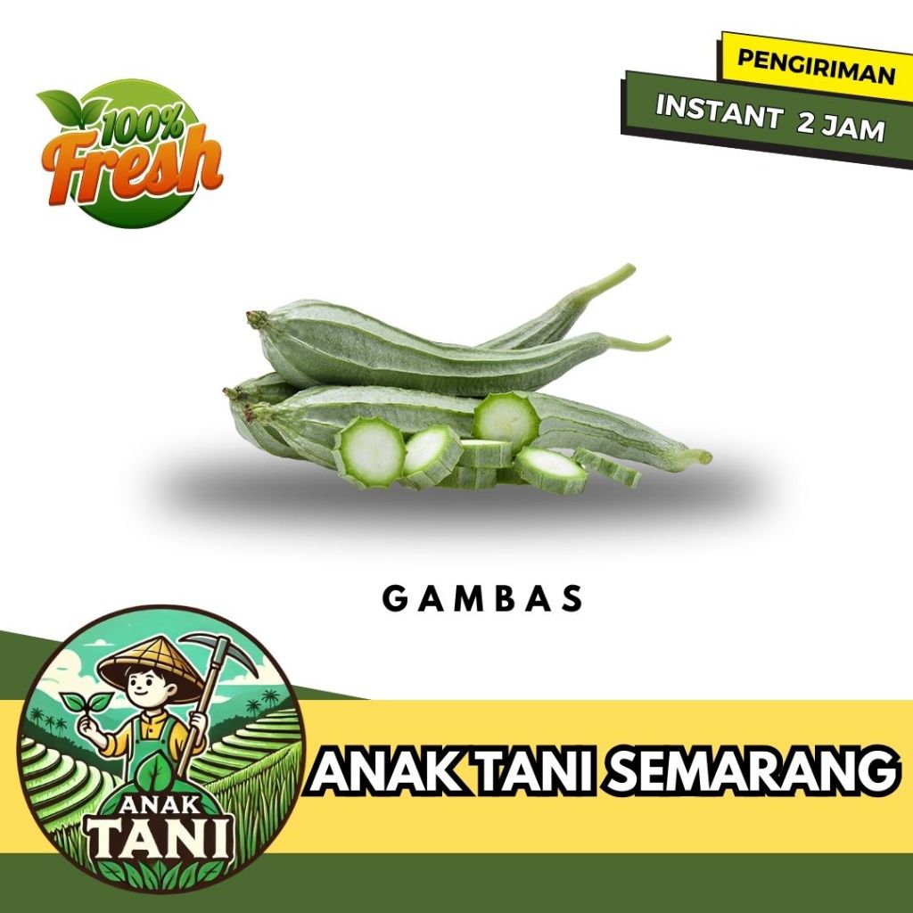 

[ANAK TANI] GAMBAS SEGAR PER 1 PCS SIAP KIRIM INSTANT AREA SEMARANG