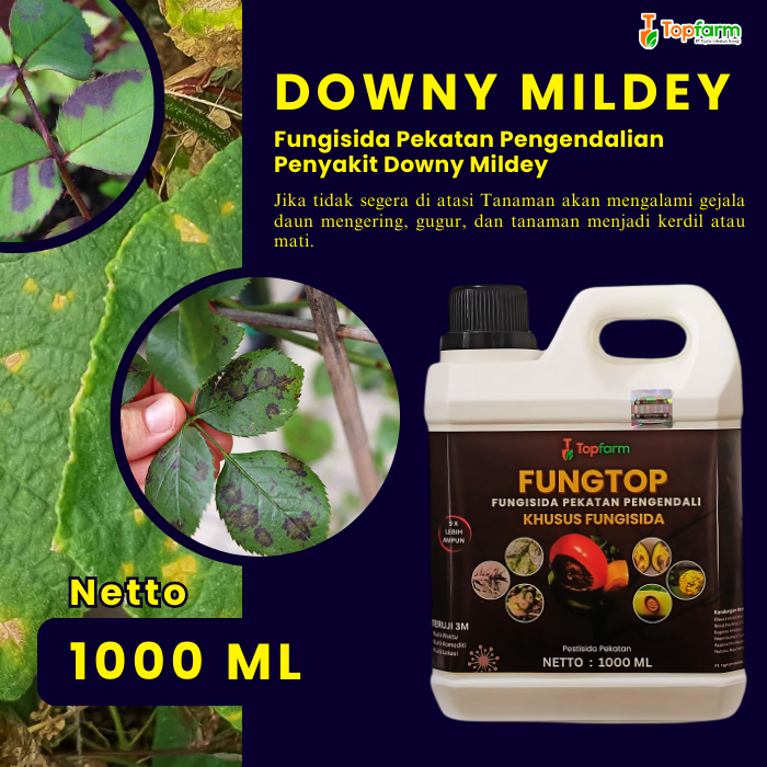 Obat Fungisida Topfarm / Obat Jamur Daun Cabe / Obat Jamur Buah Pepaya / Obat Jamur Buah Zakar / Oba