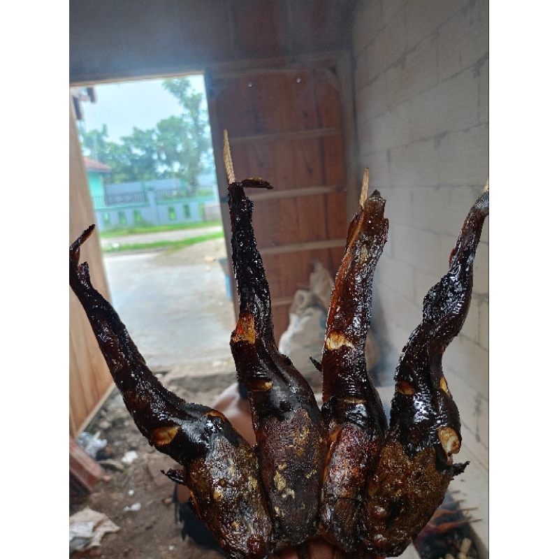 

IKAN LELE | LELE ASAP | LELE PANGGANG KHAS BAURENO