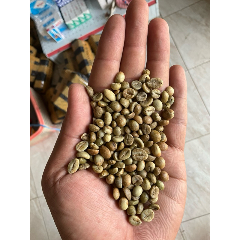 

GREEN BEAN KOPI ROBUSTA HIJAU 1 KG