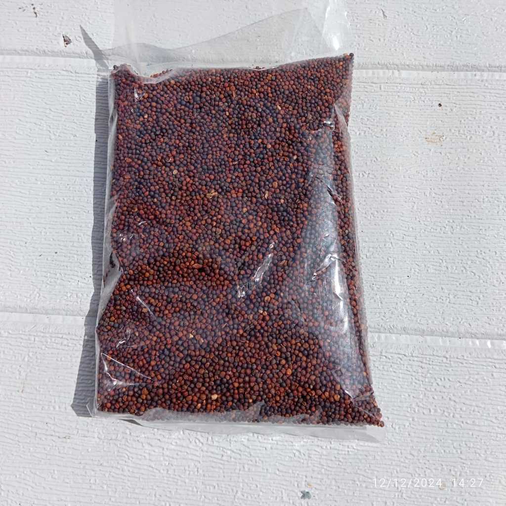 BIJI SAWI (1KG) BIJI SAWI PAKAN BURUNG