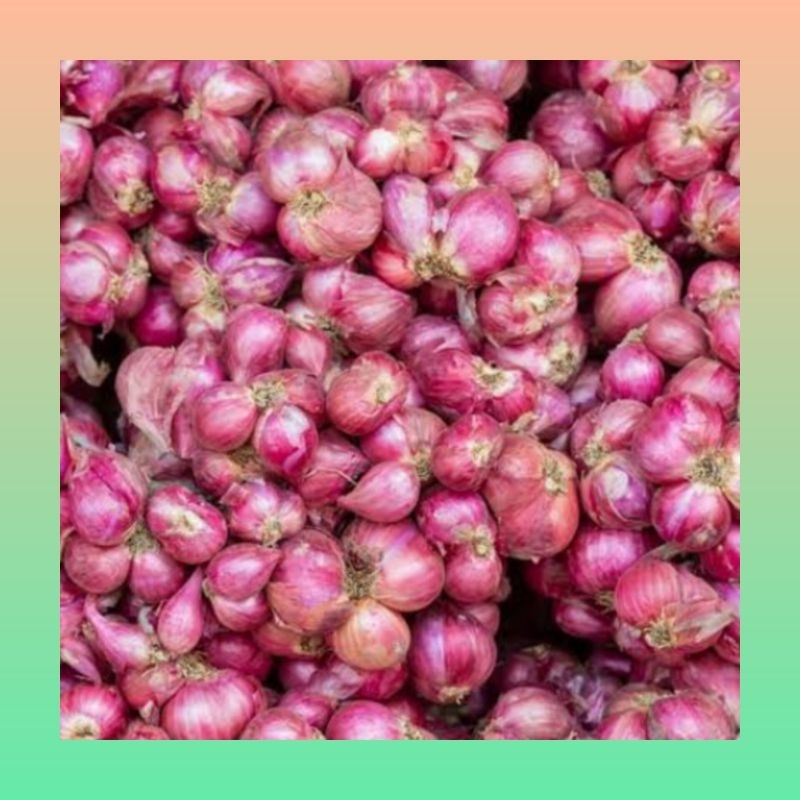 

Bawang merah super | Bawang merah segar | Bawang merah kiloan Bawang merah kualitas super
