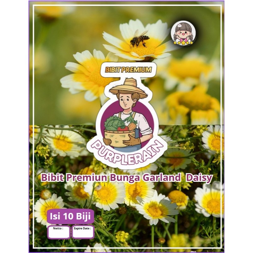 Bibit Premium Bunga Garland Daisy|Benih Bunga Garland Daisy|Bunga Daisy