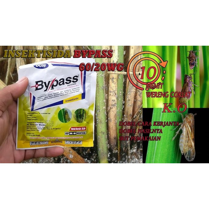 Insektisida BYPASS 60/20 WG - 25 Gram