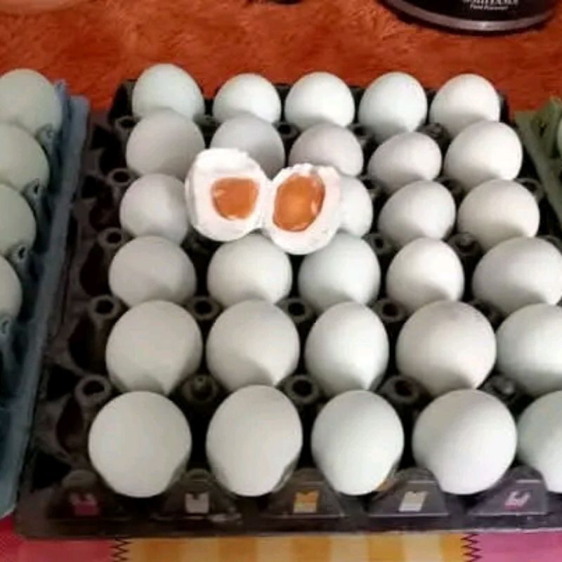

Telur Bebek Asin Murah Kediri