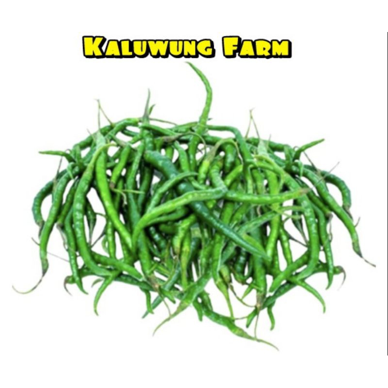 

Cabe Kriting 1KG Hijau Fresh