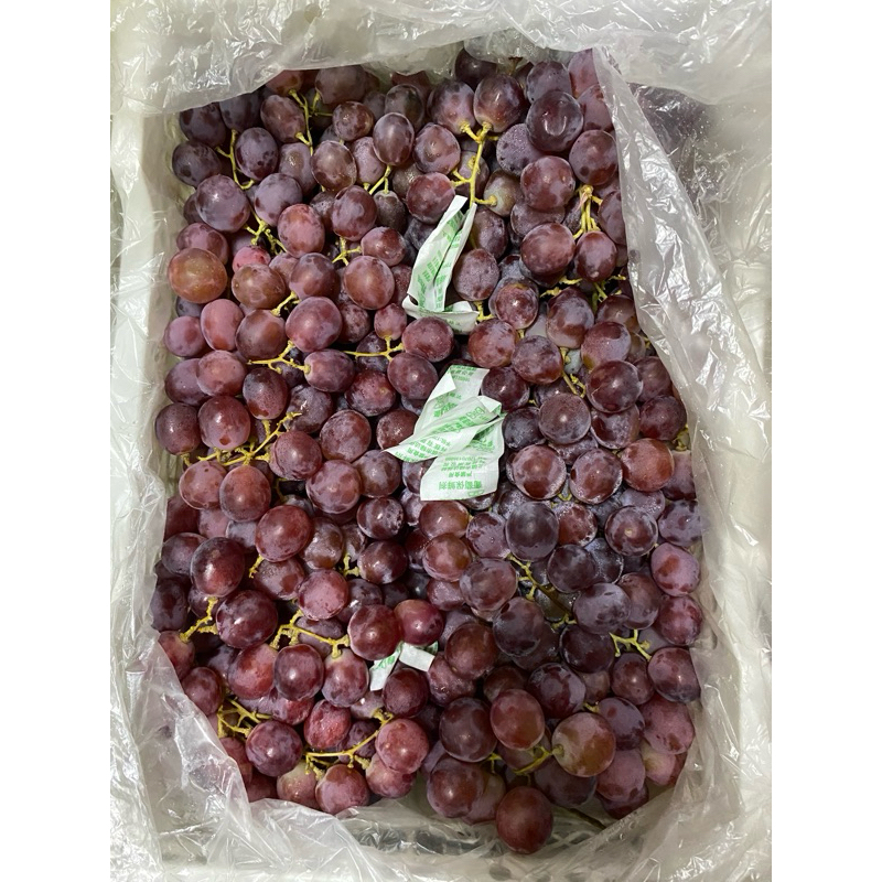 

Anggur redglobe 900-1kg