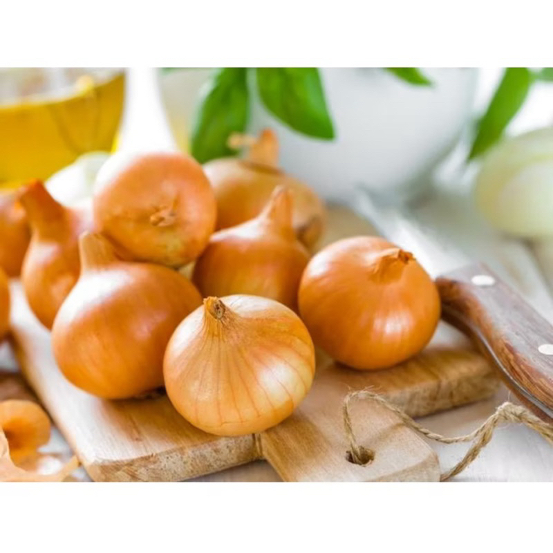 

BAWANG BOMBAY @500gr