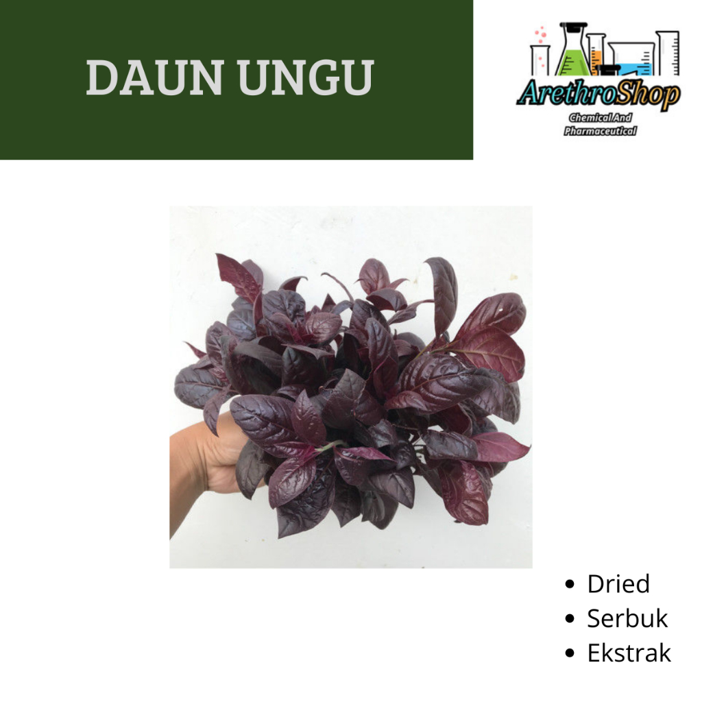 

EKSTRAK DAUN UNGU 10 GRAM BEST PRODUCT