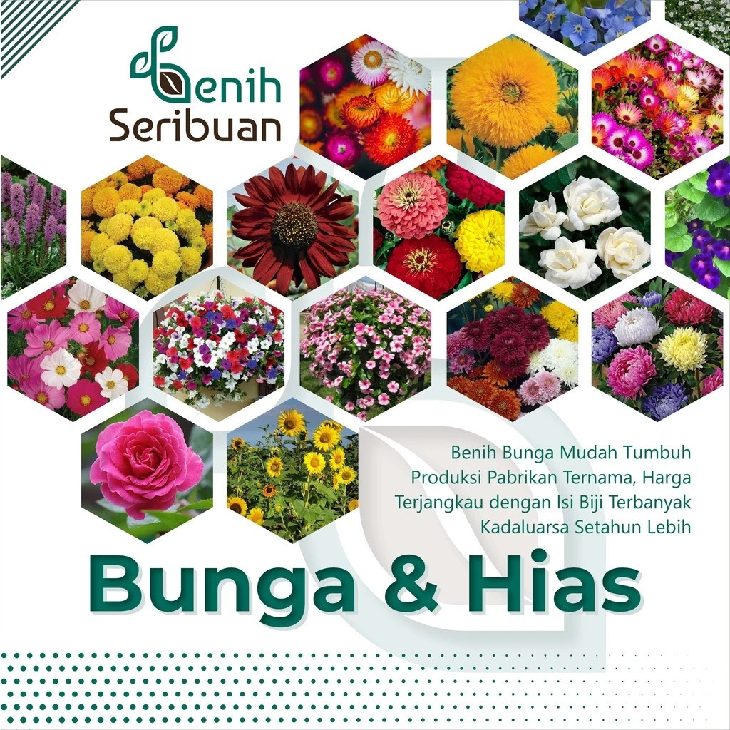 Benih Bunga dan Hias Lengkap untuk Taman Rumahan - Benih, Bunga