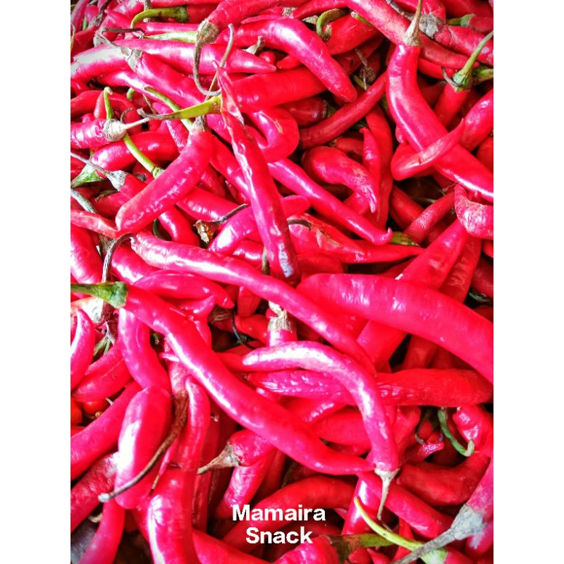 

Cabe Merah Besar Kualitas Super Fresh Baru Petik 1 Kg