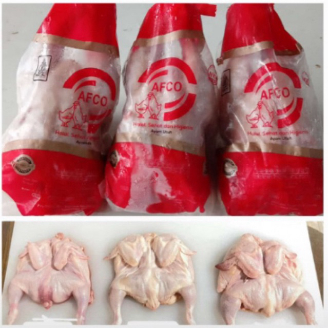 

PAKET AYAM MINI ISI 3 EKOR