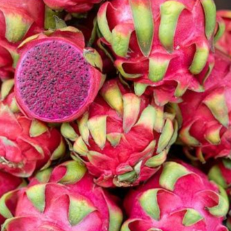 

Buah Naga 1 Kg 1000 Gram Super Fresh