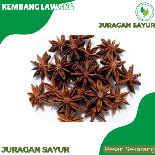 

Kembang Lawang Kering - Kembang Lawang / Bunga Lawang / star anise 50gr - Juragan Sayur