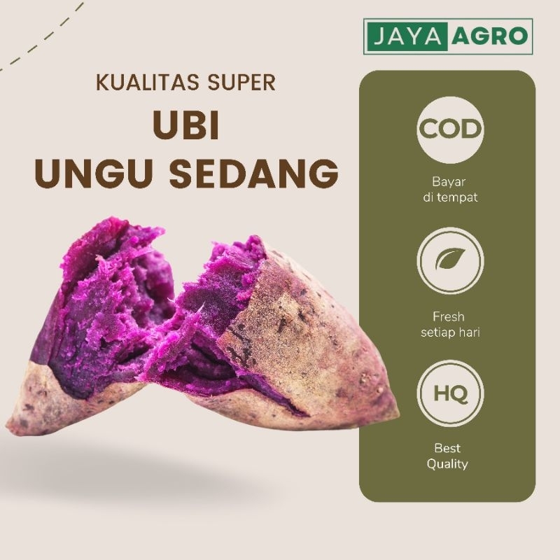 

Ubi Ungu 1 KG TERMURAH kualitas terbaik COD