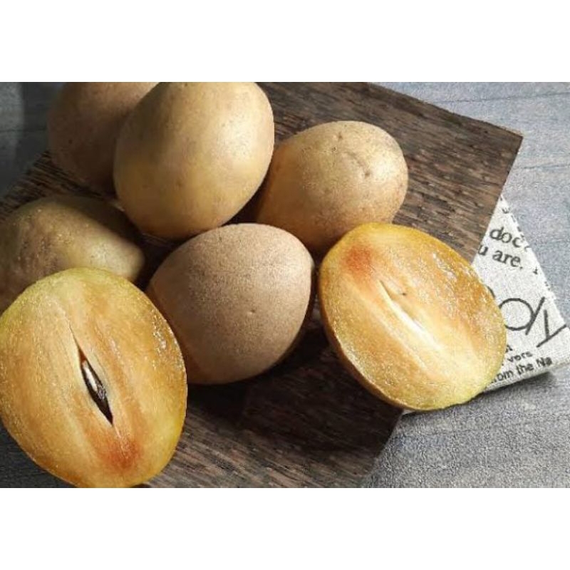 

Sawo Madu Asli Segar 1 Kg Murah Manis Asli Fresh Baru Petik