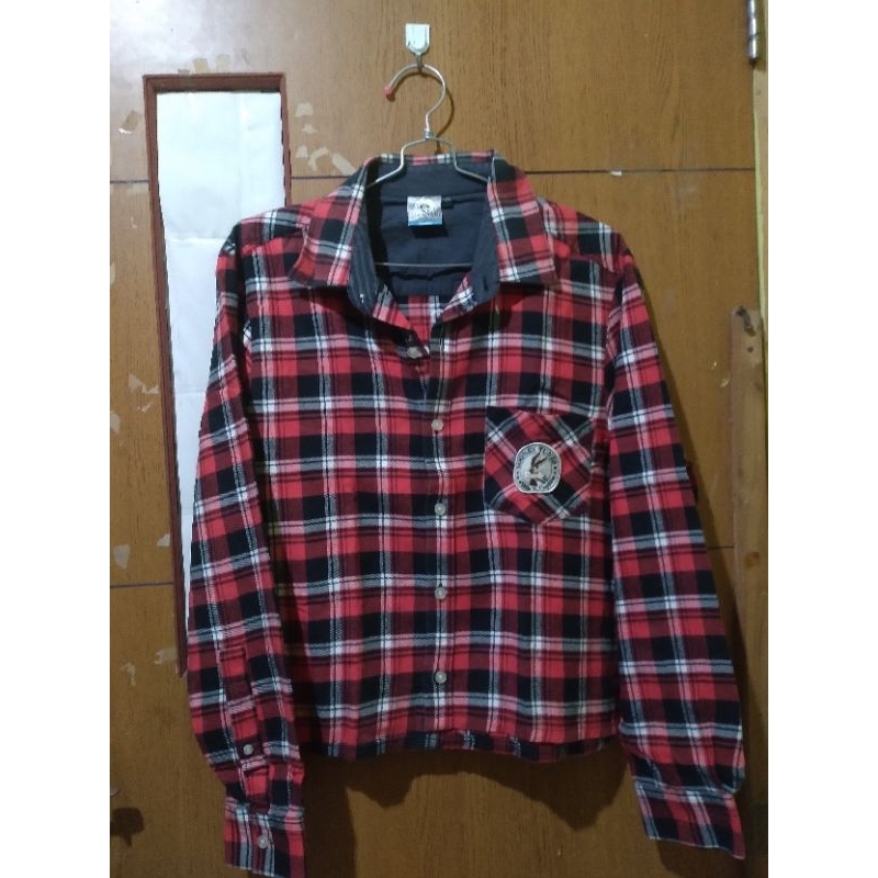 Kemeja Crop Looney Tunes