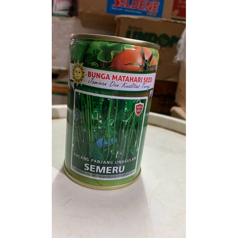 Semeru (kacang panjang bunga matahari)