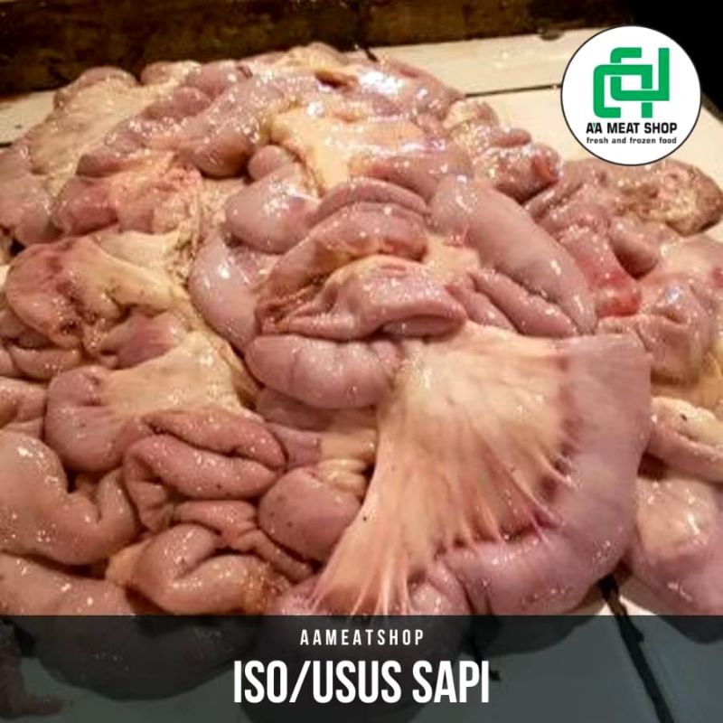 

USUS SAPI / ISO SAPI