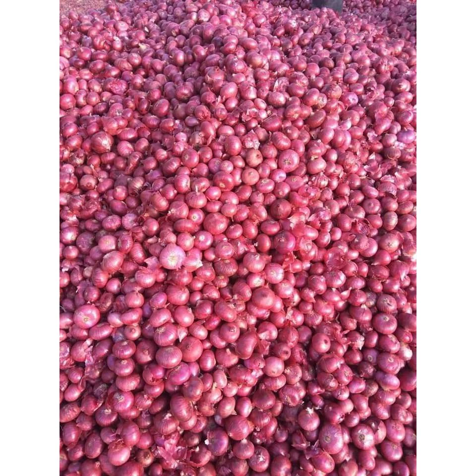 

Bawang Merah Super Fresh 250gr - 1kg / Fresh Market
