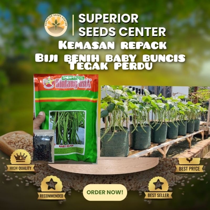 kemasan repack biji benih baby buncis tegak perdu
