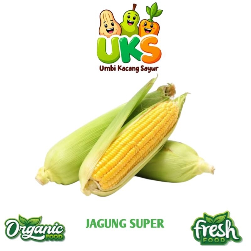 

Jagung Manis Super Fresh Kualitas Premium 500 gram