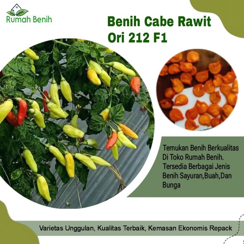 Benih Cabe Rawit Ori 212 Unggulan / Bibit Benih Cabe Rawit Ori / Biji Benih Cabe Rawit Pedas / Benih