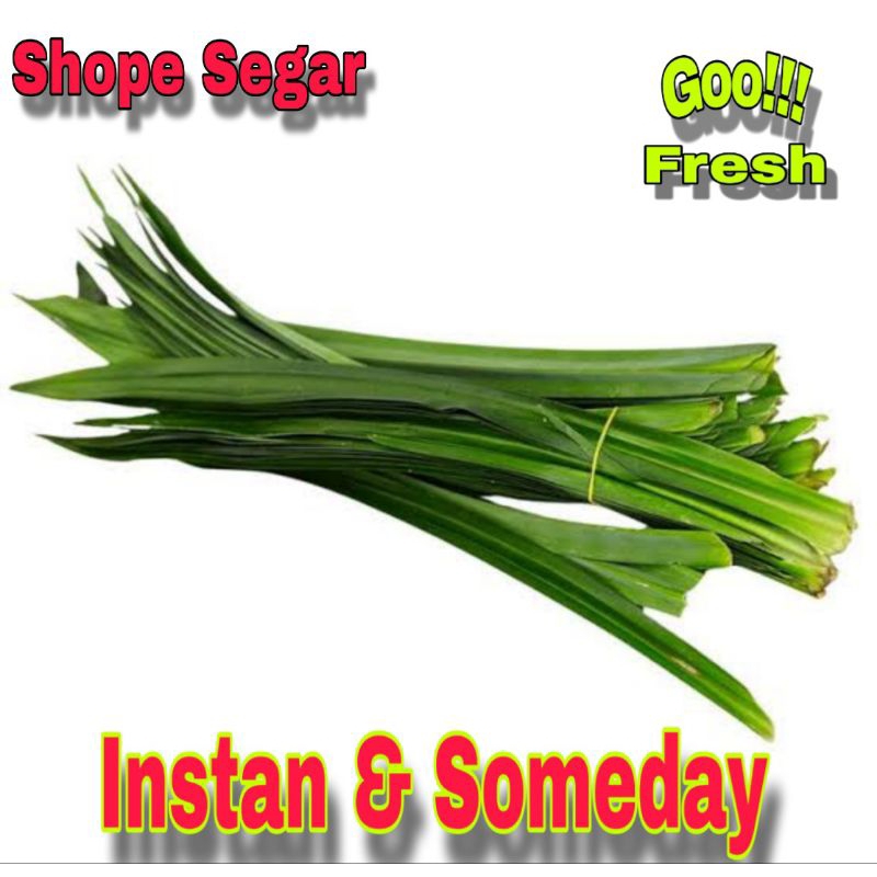 

Daun Pandan Segar Daun Pandan Wangi 50 gram