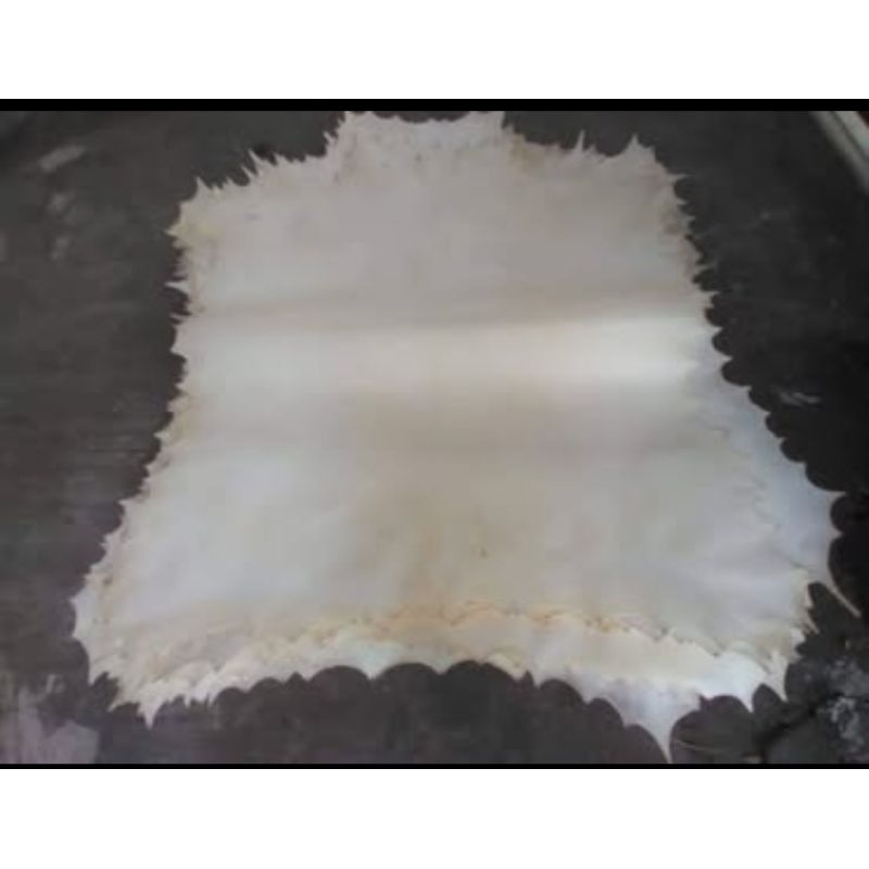 lembaran kulit kambing jumbo