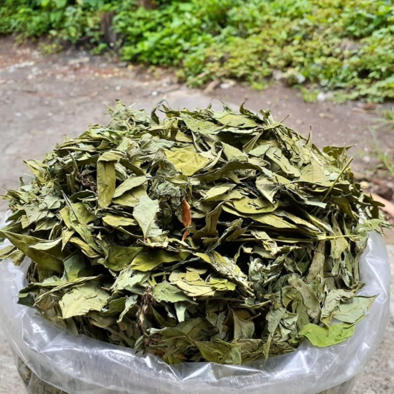 DAUN KERING INDIGOFERA PROTEIN TINGGI UNTUK KELINCI, KAMBING, AYAM TERNAK 250GR