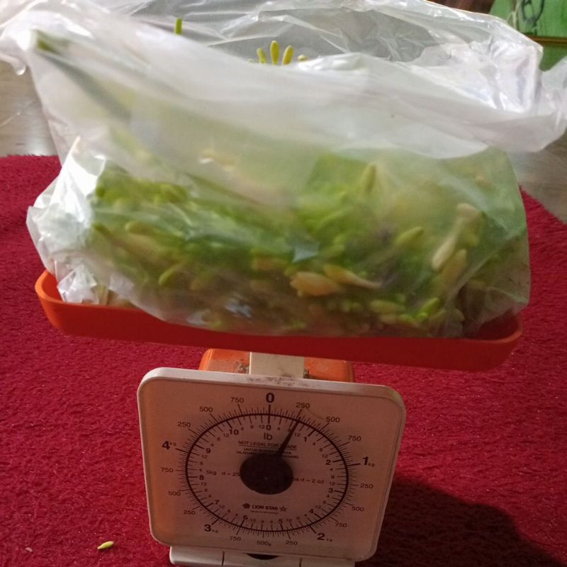 

bunga pepaya berat 250