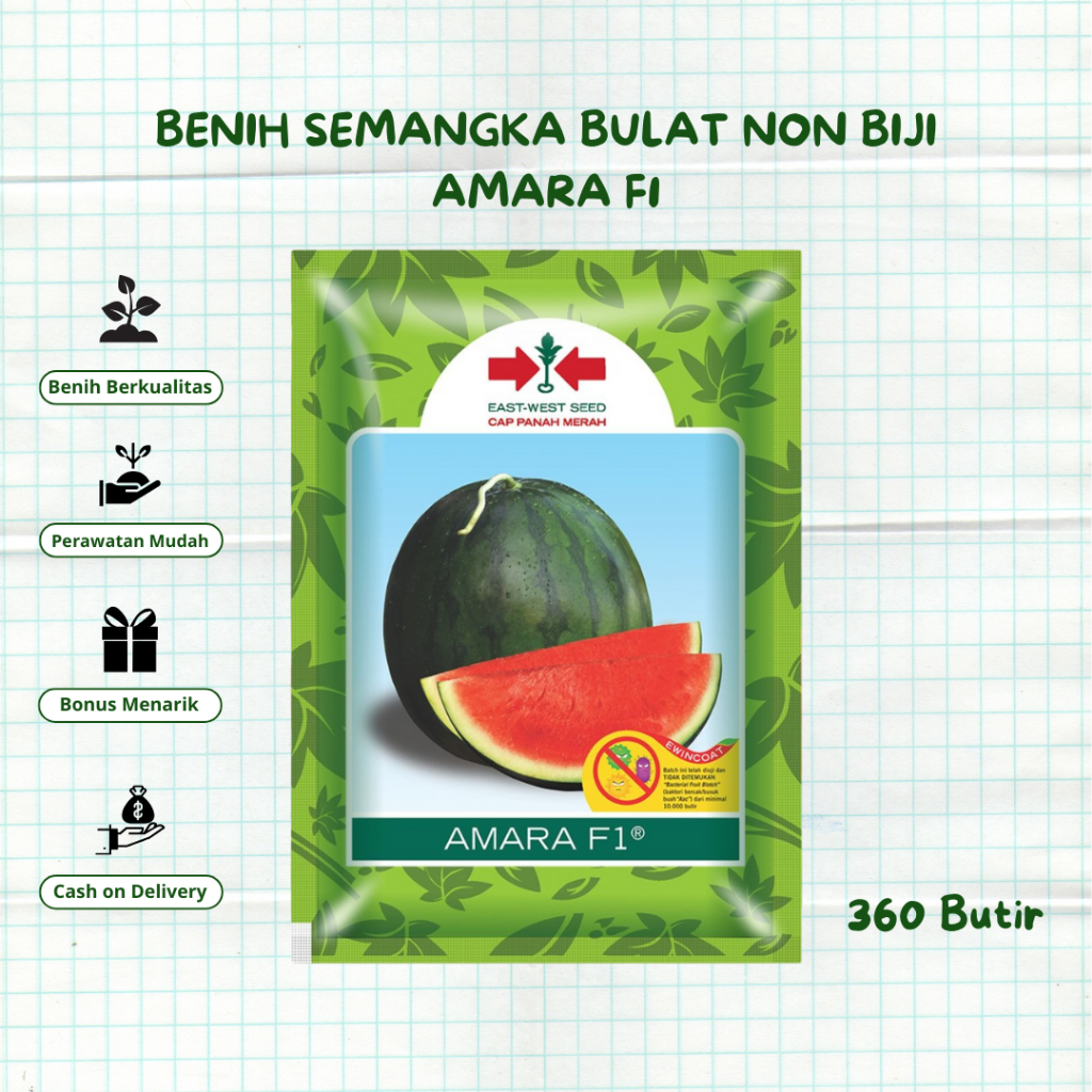 Benih AMARA F1 360 Butir Bibit Semangka Bulat Non Biji