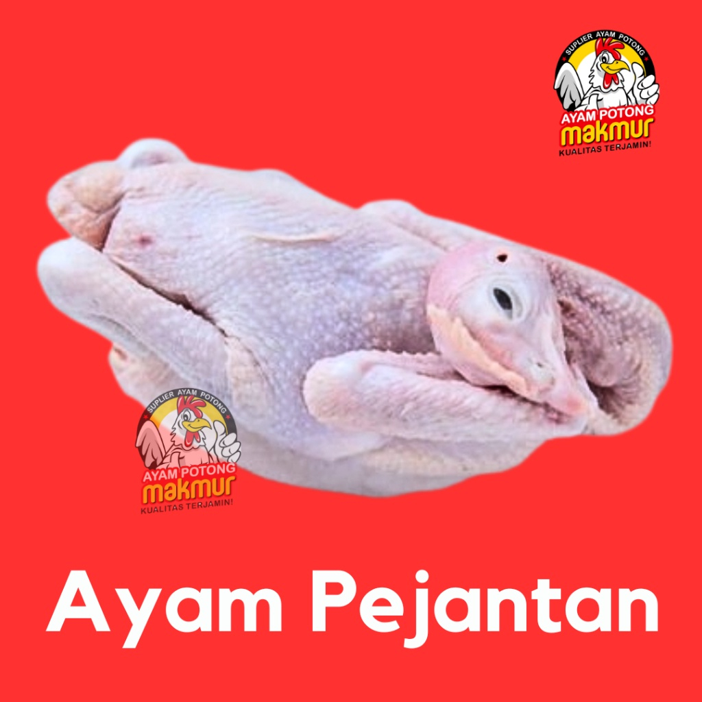 

Ayam Pejantan HALAL