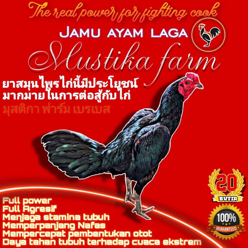 JAMU AYAM SIAPAN MUSTIKA VVIP
