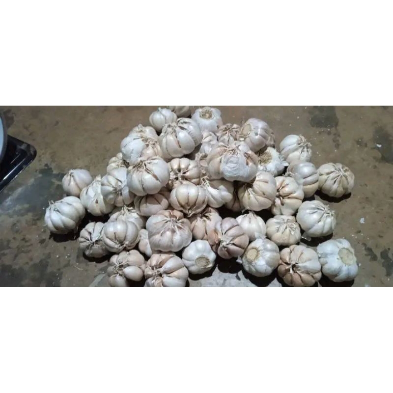 

BAWANG PUTIH/BUMBU DAPURR BAWANG PUTIH MURAH 500GR