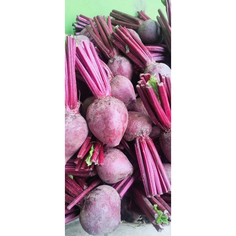 

buah bit beet root 1kg spek market