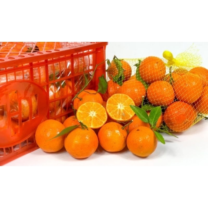 

Jeruk Santang Dong Fang