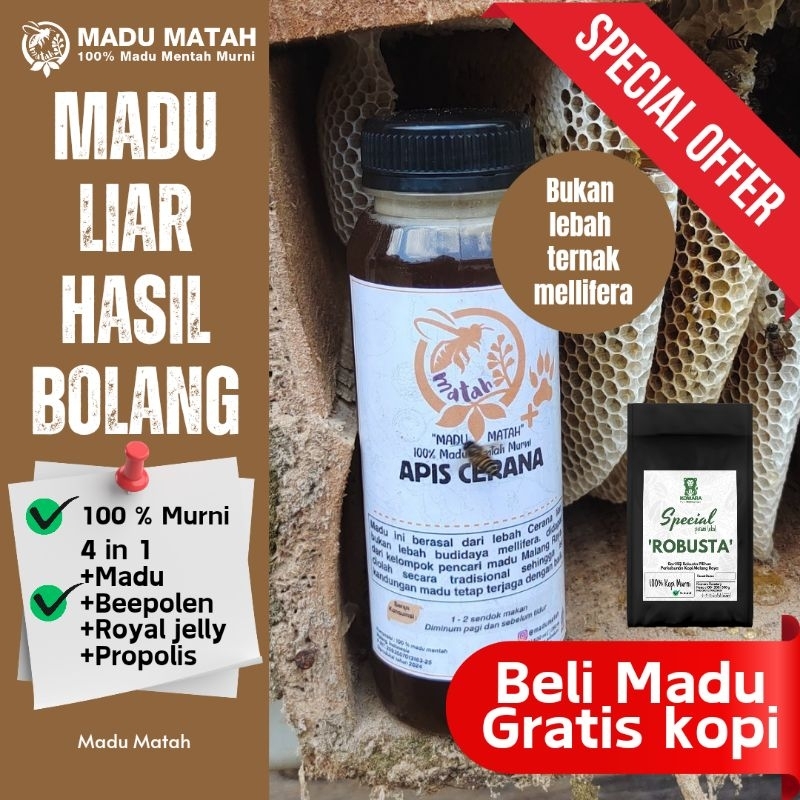 

Madu Liar Apis Cerana 4in1Bukan Madu Budidaya Ternak