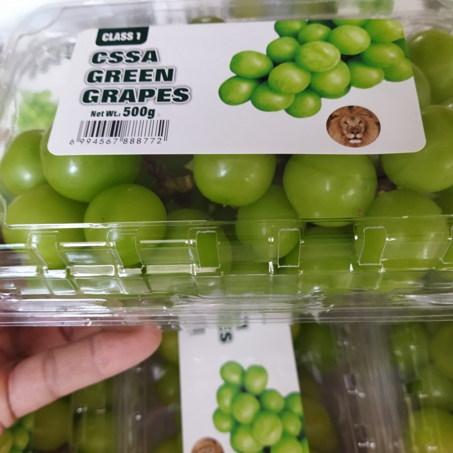 

GRAPES ANGUR HIJAU KEMASAN PREMIUM 500GR GRAPES HIJAU