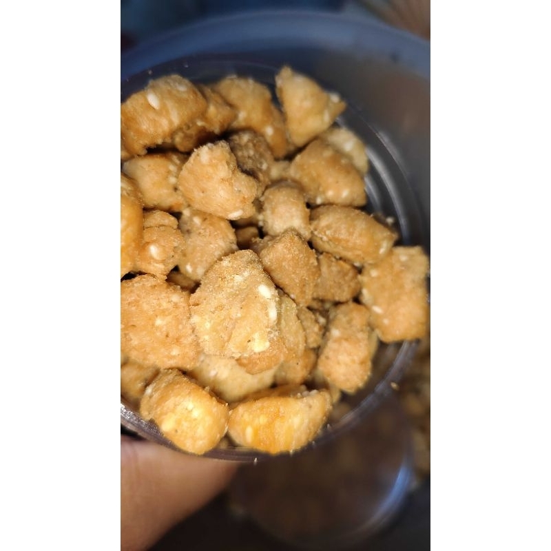 

biji ketapang premium