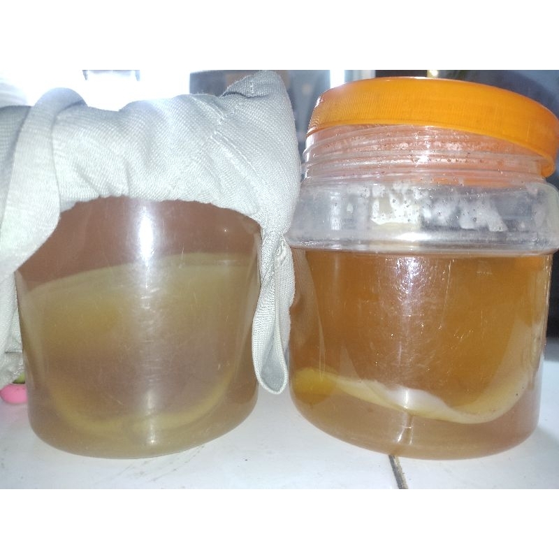 

Air kombucha + scoby