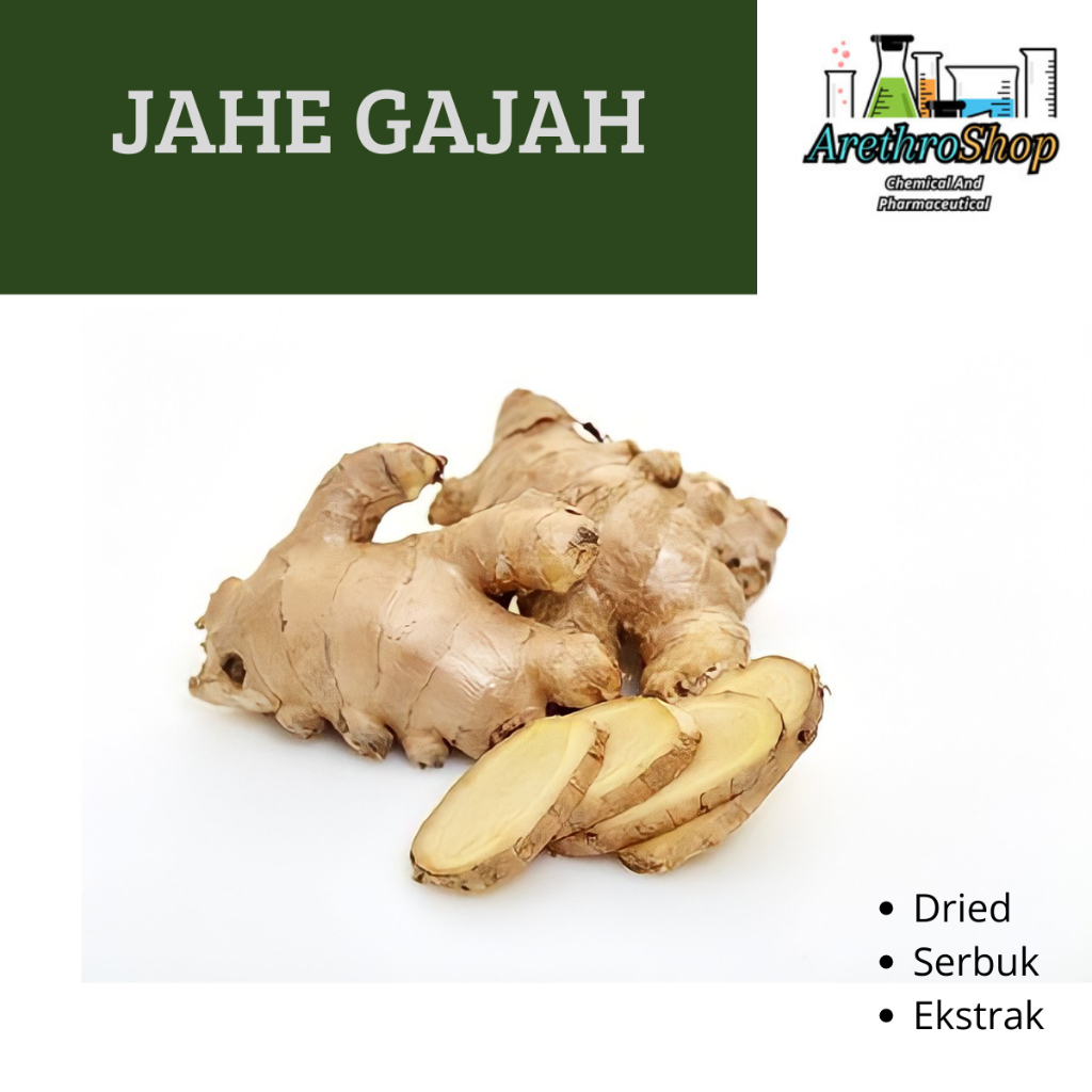 

EKSTRAK JAHE GAJAH 10 GRAM BEST PRODUCT