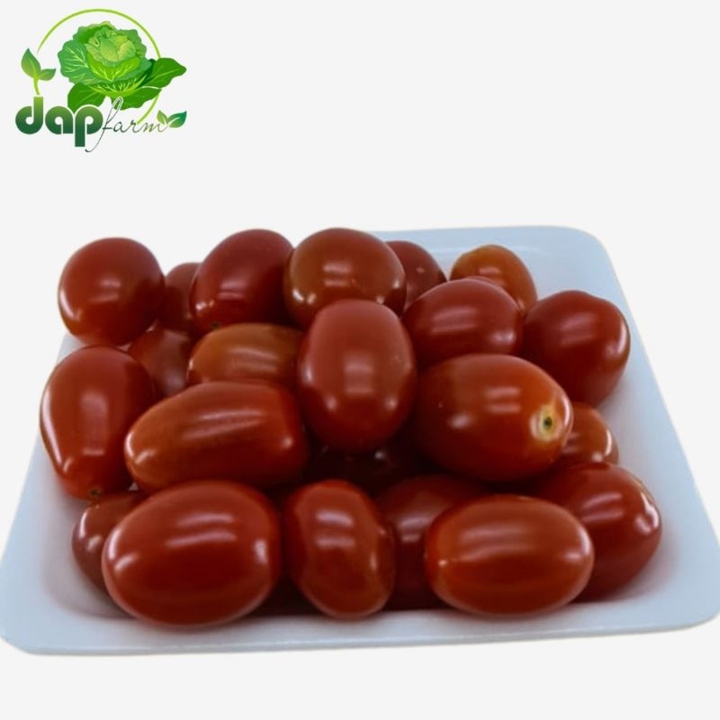 

Tomat Cherry / DAP Farm / Sayur Segar Jakarta