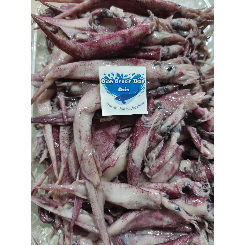 

Grosir Ikan Asin Dian - Cumi Jarum Gepeng Fresh 500 gr